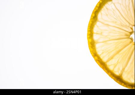 Thin slice of lemon backlit on a white background Stock Photo