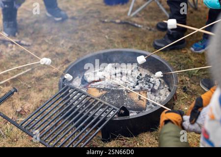 Group of people are roasting marshmallows over a fire. There are at least five people in the scene Stock Photo