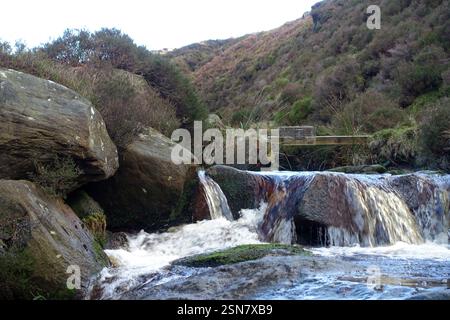 Wire Stoat/Pine Martin/Rat Trap on Wooden Plank over Waterfall Gill Beck near Skipton in the Yorkshire Dales, England, UK Stock Photo