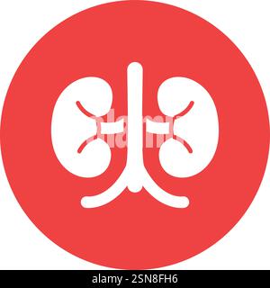 Kidney Vector Icon Design Illustration Stock Vector