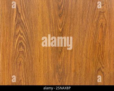 Close up of solid wood veins texture. Bright natural yellow brown wood with its typical veins on a wall panel. Suitable for wall covering. Seamless ba Stock Photo