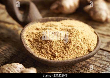 Ground ginger powder on a spoon with fresh root Stock Photo