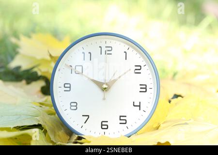 Autumn time. Alarm clock among fallen leaves, closeup Stock Photo