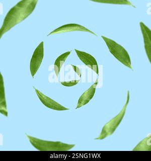 Green leaves swirling in air on light blue background Stock Photo