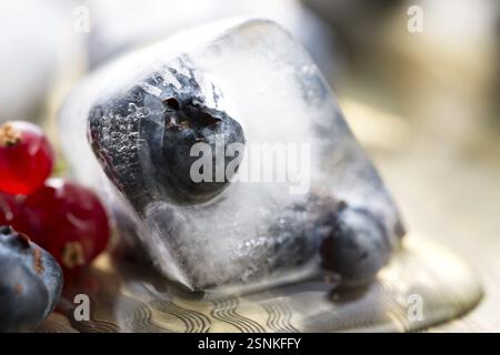 Fresh berry fruits frozen in ice cubes, lodz, poland Stock Photo