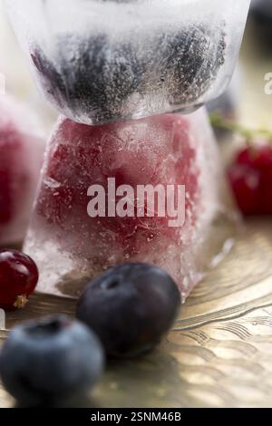 Fresh berry fruits frozen in ice cubes, lodz, poland Stock Photo