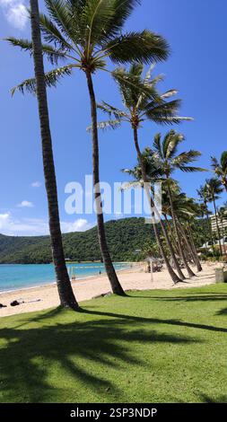 Tropical beach camping site in Chumphon Province, Thailand. Palm trees ...