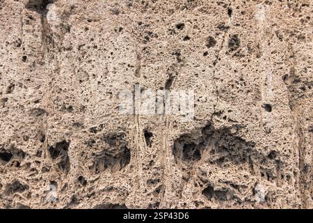 A detailed natural rock surface showcasing complex erosion patterns, forming a porous texture, suggestive of marine origins. Stock Photo
