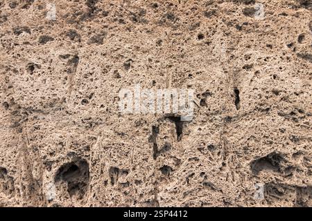A detailed natural rock surface showcasing complex erosion patterns, forming a porous texture, suggestive of marine origins. Stock Photo
