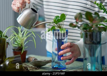 Close Up Of Woman At Home Watering Plant In Sustainable Pot Or Vase Made From Recycled Glass Bottle Stock Photo