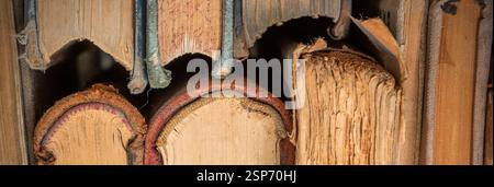 Textured stack of old books close up. Close up of old paper pages of book. Concept of reading and learning Stock Photo