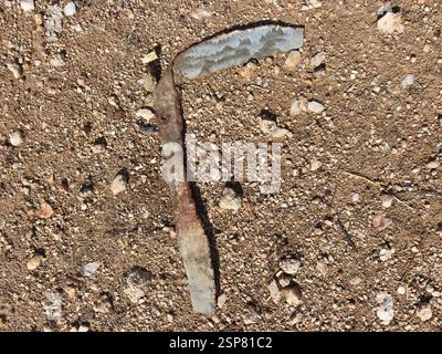Rusted metal object lying on rocky desert ground in sunlight Stock Photo