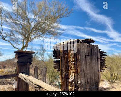Weathered wooden fence post with rusted nails in desert cemetery Stock Photo
