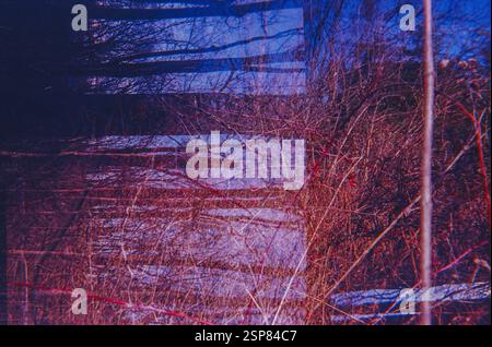 Abstract Layers of Nature in Analog Stock Photo