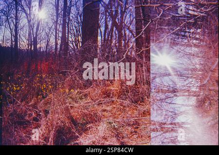 Abstract Layers of Nature in Analog Stock Photo