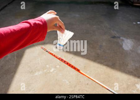 hands holding badminton shuttlecocks Stock Photo