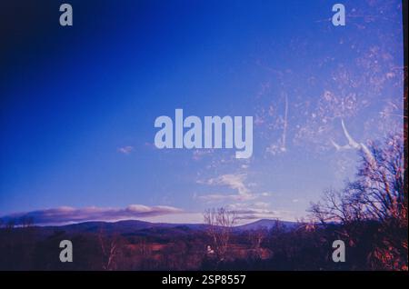 Abstract Layers of Nature in Analog Stock Photo