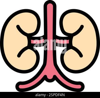 Kidney Vector Icon Design Illustration Stock Vector