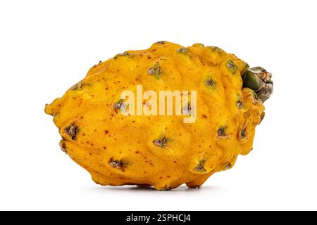 Whole ripe yellow dragon fruit or pitaya isolated on white background Stock Photo