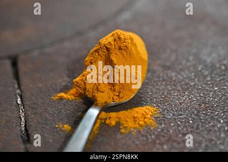 curcuma or turmeric powder on a tea spoon on dark background. Stock Photo