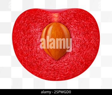 Half of cherry with pit isolated on a white background. Red cherry realistic 3d vector illustration. Ripe of berry, glistening with vibrant hues. Stock Vector