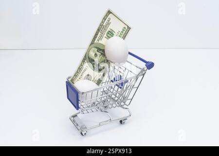 Horizontal shot looking down on a tiny shopping cart holding two eggs and a one hundred dollar bill. Stock Photo