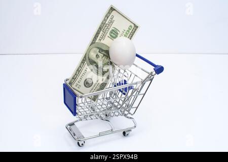Horizontal side shot of a tiny shopping cart holding a very expensive white egg and a one hundred dollar bill with copy space. Stock Photo