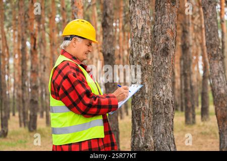 Senior forester taking notes on clipboard in forest Stock Photo