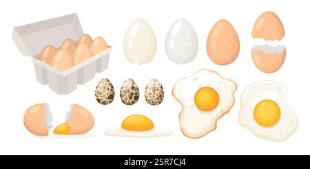 Raw boiled eggs. Cartoon chicken or quail egg carton tray pack, eco protein meal breakfast half fried fresh yolk in brown eggshell, poultry natural Stock Vector