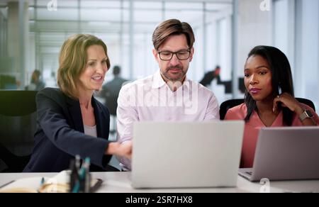 Smiling diverse team of businesspeople collaborates happily on laptop Stock Photo