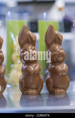 Close-up of two chocolate bunnies on a shiny table, Easter baking and chocolate icing at Haselstaller Hof, Gechingen, Black Forest, Germany, Europe Stock Photo