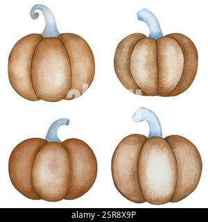 A handdrawn watercolor illustration of Pumpkin Watercolor Hand-Drawn Set that was image traced and vectorized. The illustration is perfect for any des Stock Vector