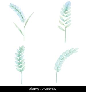 A handdrawn watercolor illustration of Wheat stalk hand-drawn set that was image traced and vectorized. The illustration is perfect for any design pro Stock Vector
