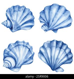 A handdrawn watercolor illustration of Hand-drawn Shell Collection that was image traced and vectorized. The illustration is perfect for any design pr Stock Vector