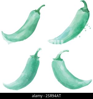 A handdrawn watercolor illustration of Watercolor Hand-Drawn Chili Pepper Set that was image traced and vectorized. The illustration is perfect for an Stock Vector