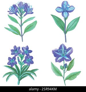 A handdrawn watercolor illustration of Blooming Plant Hand-Drawn Illustration Concept that was image traced and vectorized. The illustration is perfec Stock Vector