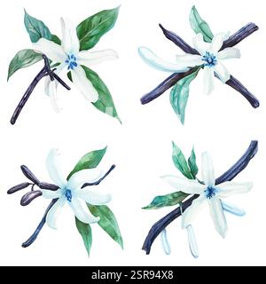 A handdrawn watercolor illustration of A hand-drawn watercolor illustration of a flower that was image traced and vectorized. The illustration is perf Stock Vector