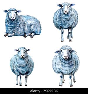 A handdrawn watercolor illustration of Sheep watercolor hand-drawn illustration concept that was image traced and vectorized. The illustration is perf Stock Vector