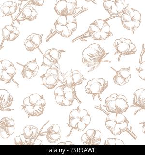 Cotton fluffy flowers seamless pattern. Hand drawn sketch vector plant illustration. Natural floral background. Fabric design, wrapping paper, textile Stock Vector