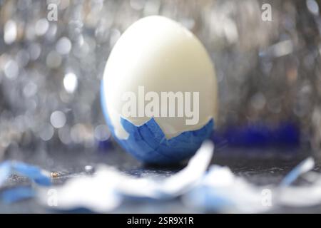 Blue Easter egg hen's egg almost peeled in front of dark restless bokeh background Stock Photo