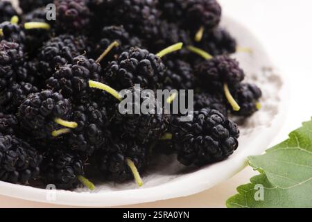Pile of mulberry isolated on white plate Stock Photo