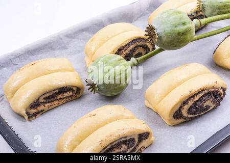 Raw Quick Poppy Seed Rolls Stock Photo