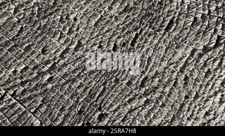 Old wooden board ,old wood plank, old wood background, wood texture background Stock Photo