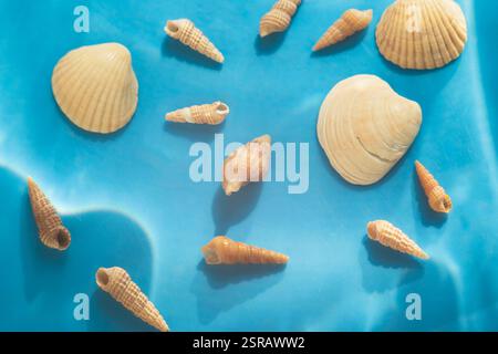 Seashells on Blue Background: Beach-Themed Flat Lay Stock Photo