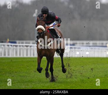 Horse Racing - Betfair Ascot Chase Day - Ascot Racecourse. Nicky ...