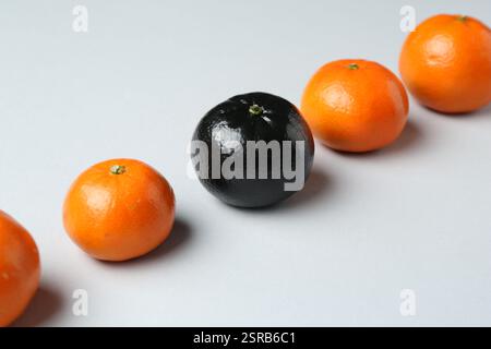 Stop racism. One black tangerine among orange ones on light background Stock Photo