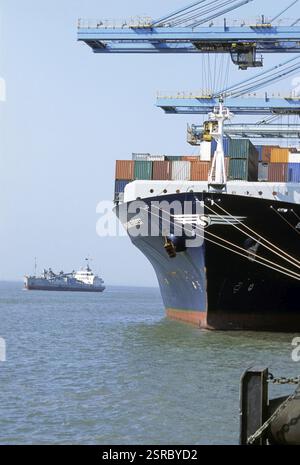 Containers loading at port, nava seva, india Stock Photo - Alamy