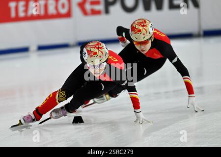 Milan, Italy. 14th Feb, 2025. Forum Assago: in action during ISU Short Track World Tour 2024/25 on February 14, 2025 in Forum Assago, Italy. (Photo by Tonello Abozzi/Pacific Press) Credit: Pacific Press Media Production Corp./Ģ����ý Live News Stock Photo