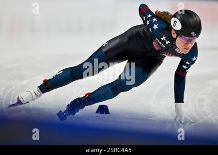 Turin, Italy, Italy. 14th Feb, 2025. Milan, Italy -14 February 2025, Forum Assago: . in action during ISU Short Track World Tour 2024/25 on February 14, 2025 in Forum Assago, Italy. (Credit Image: © Tonello Abozzi/Pacific Press via ZUMA Press Wire) EDITORIAL USAGE ONLY! Not for Commercial USAGE! Stock Photo