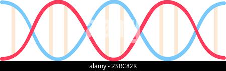 Colorful DNA double helix rotating and forming a seamless loop, symbolizing genetic inheritance, scientific research, and the building blocks of life Stock Vector